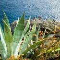 Włochy, Liguria. Turyści na dziki plażują się na wybrzrżu Cinque Terre