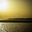 essaouira morocco (4 of 28)