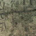 kirkut-w-zarkach5 kirkut-w-zarkach5
