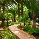 Ogrody MAjorelle Ogrody MAjorelle